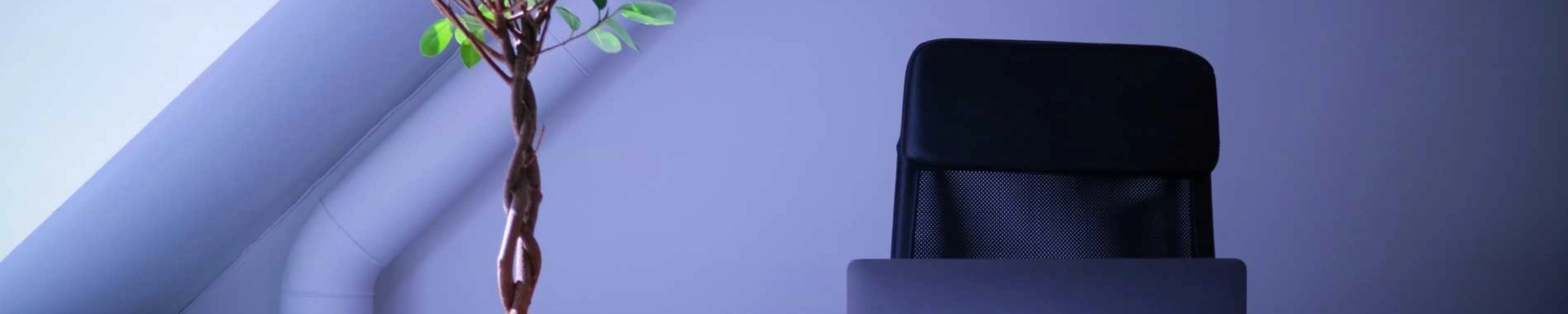 Greatest Web based casinos in australia ️ Ranked i24slot casino online by Advantages 2026